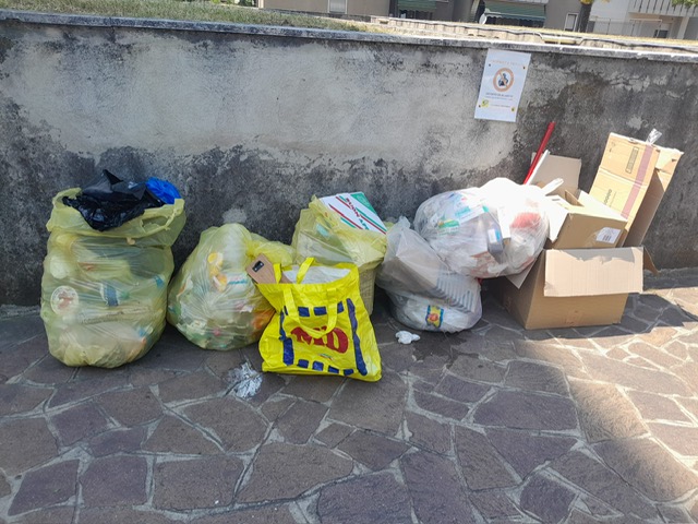 Immagine della segnalazione